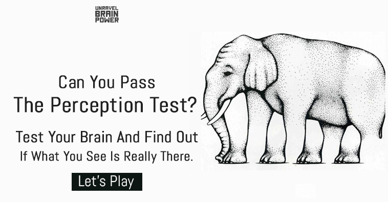 Can You Pass The Perception Test