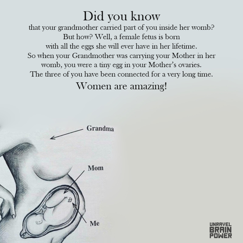 Did You Know That Your Grandmother Carried Part Of You Inside Her Womb