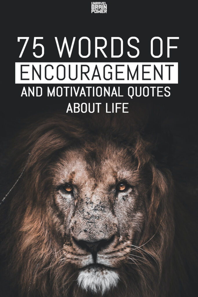 75 Words of Encouragement and Motivational Quotes About Life