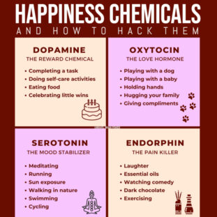 Happiness chemicals and how to hack them - Unravel Brain Power