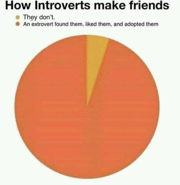 How Introverts Make Friends