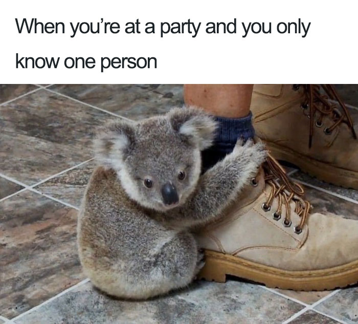 When you're in party 