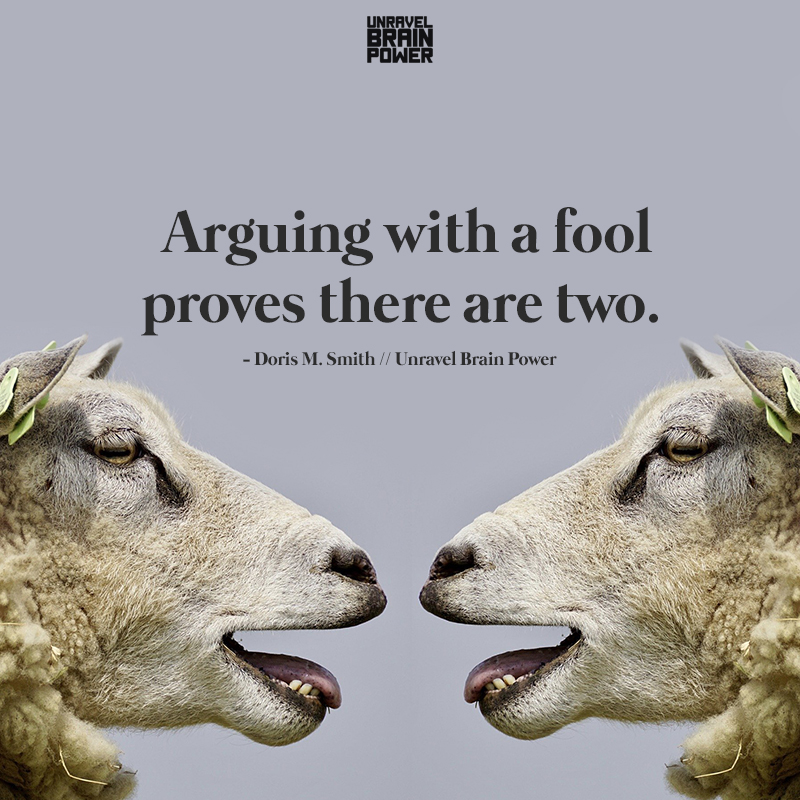 Arguing with a fool proves there are two