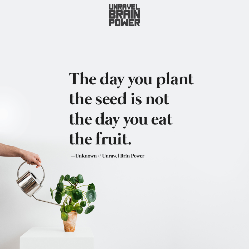 The day you plant the seed is not the day you eat the fruit.