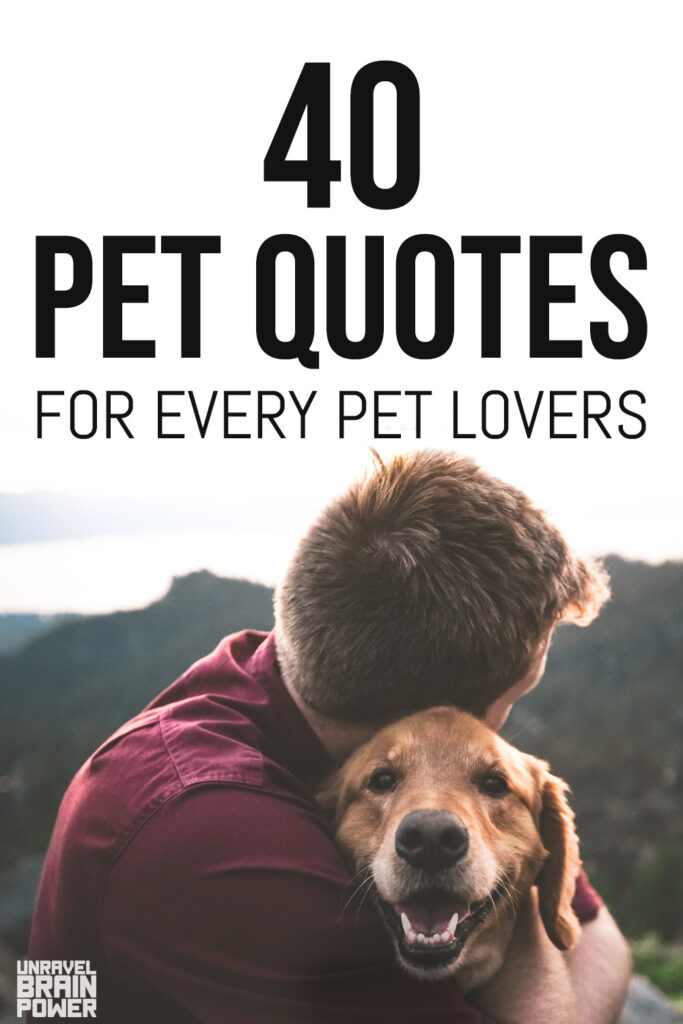 40 Pet Quotes For Every Pet Lovers