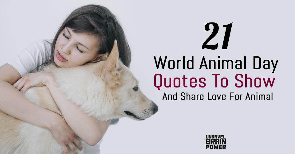 21 World Animal Day Quotes To Show And Share Love For Animal