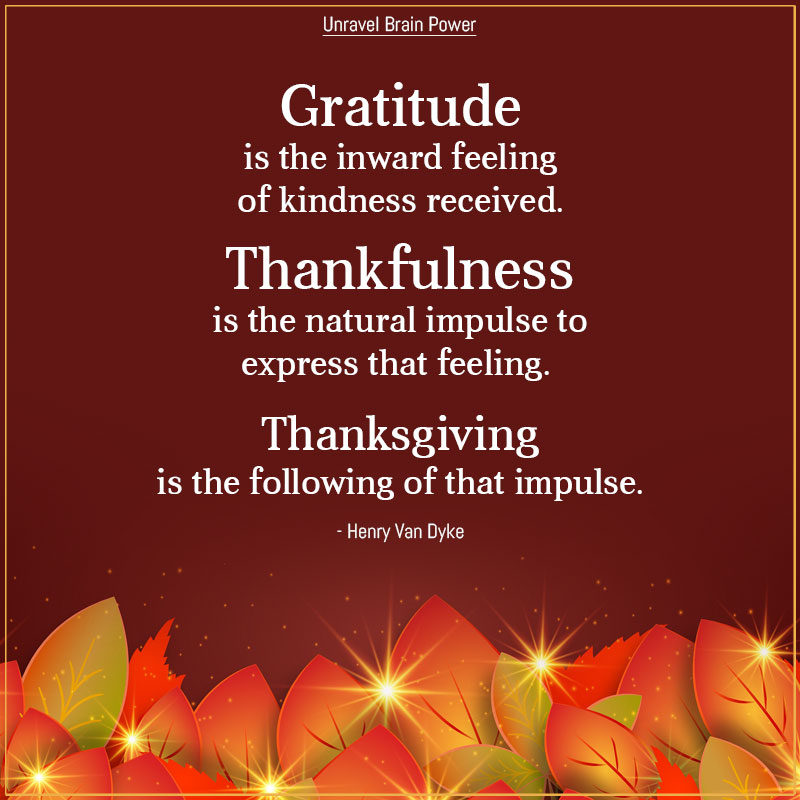 Gratitude Is The Inward Feeling Of Kindness Received