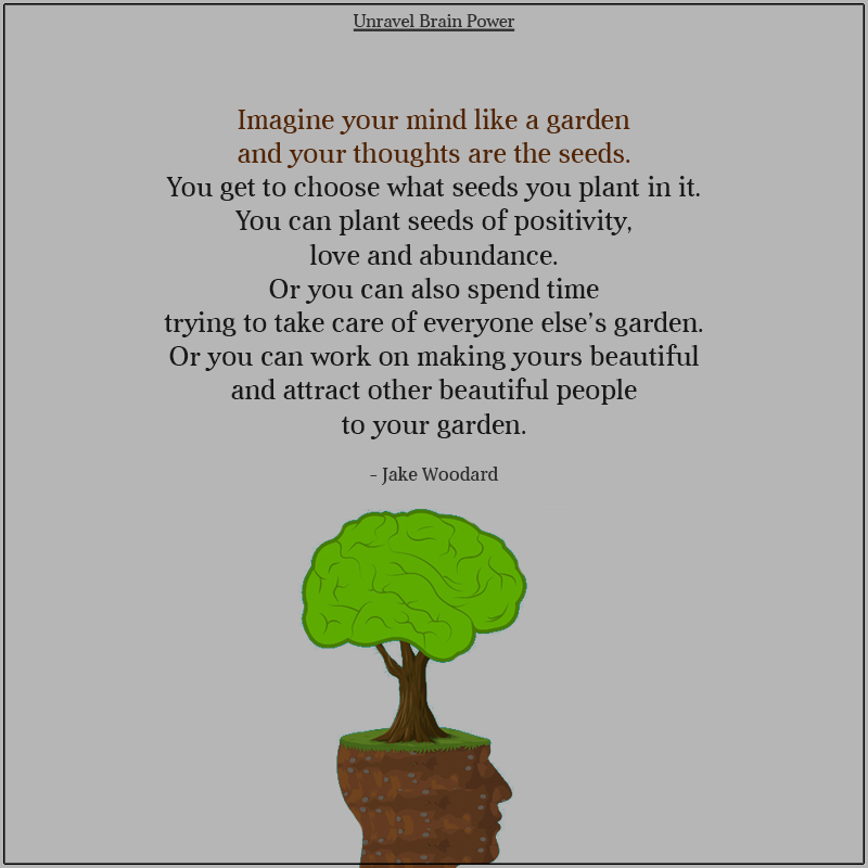 Imagine Your Mind Like A Garden
