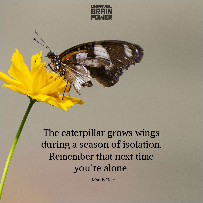 The Caterpillar Grows Wings During A Season Of Isolation.