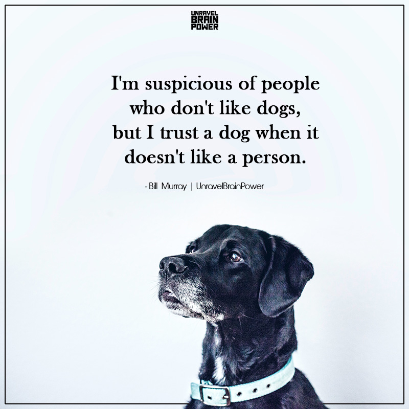 I'm Suspicious Of People Who Don't Like Dogs - Unravel Brain Power