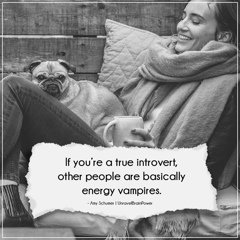If You’re A True Introvert,